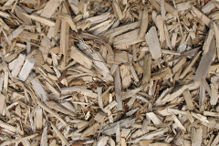 biomass boilers Wallsuches